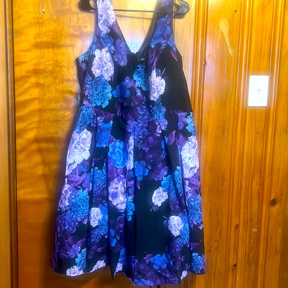 **NWT** Chic City Hydrangea Dress